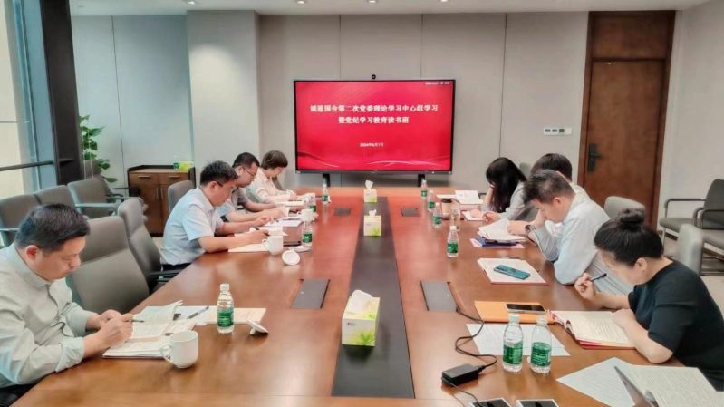 诚通国合 (3)