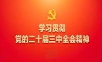 党的二十届三中全会精神