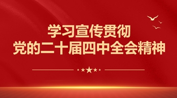 二十届四中全会精神